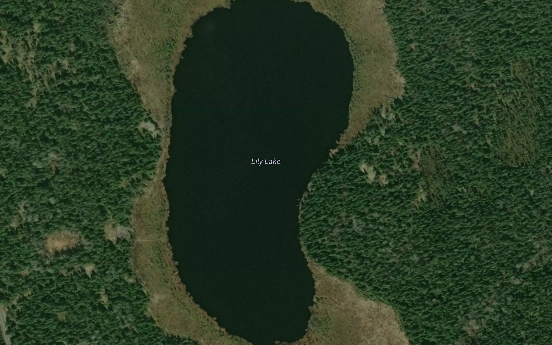 Satellite map of the Lily Lake
