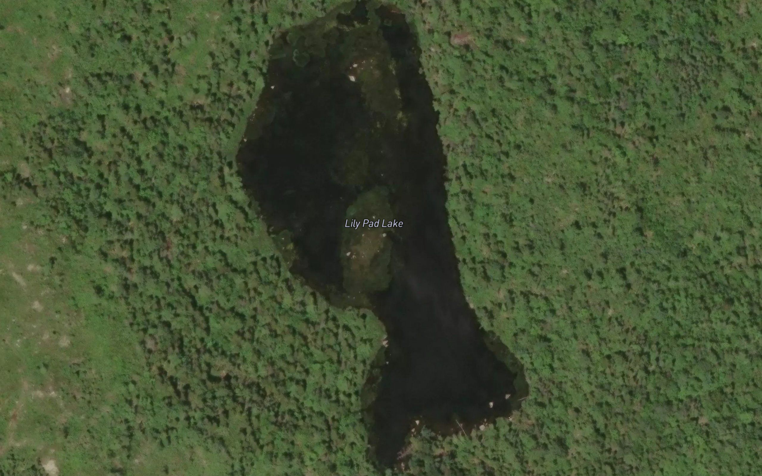Lily Pad Lake