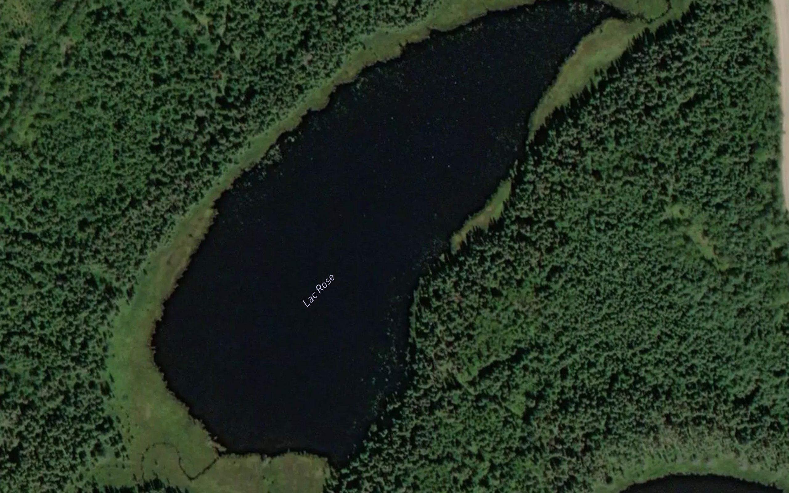 Lac Rose