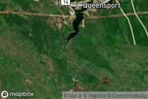 Southwest Pond Brook