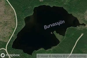 Burvassjoen