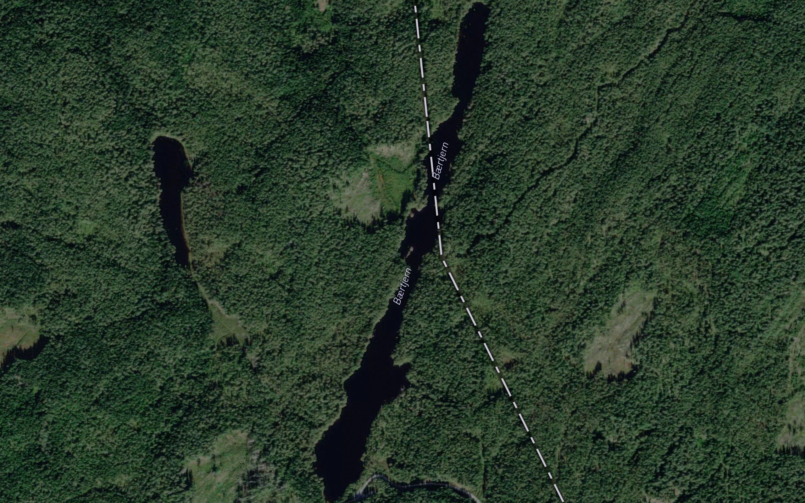 Baertjern