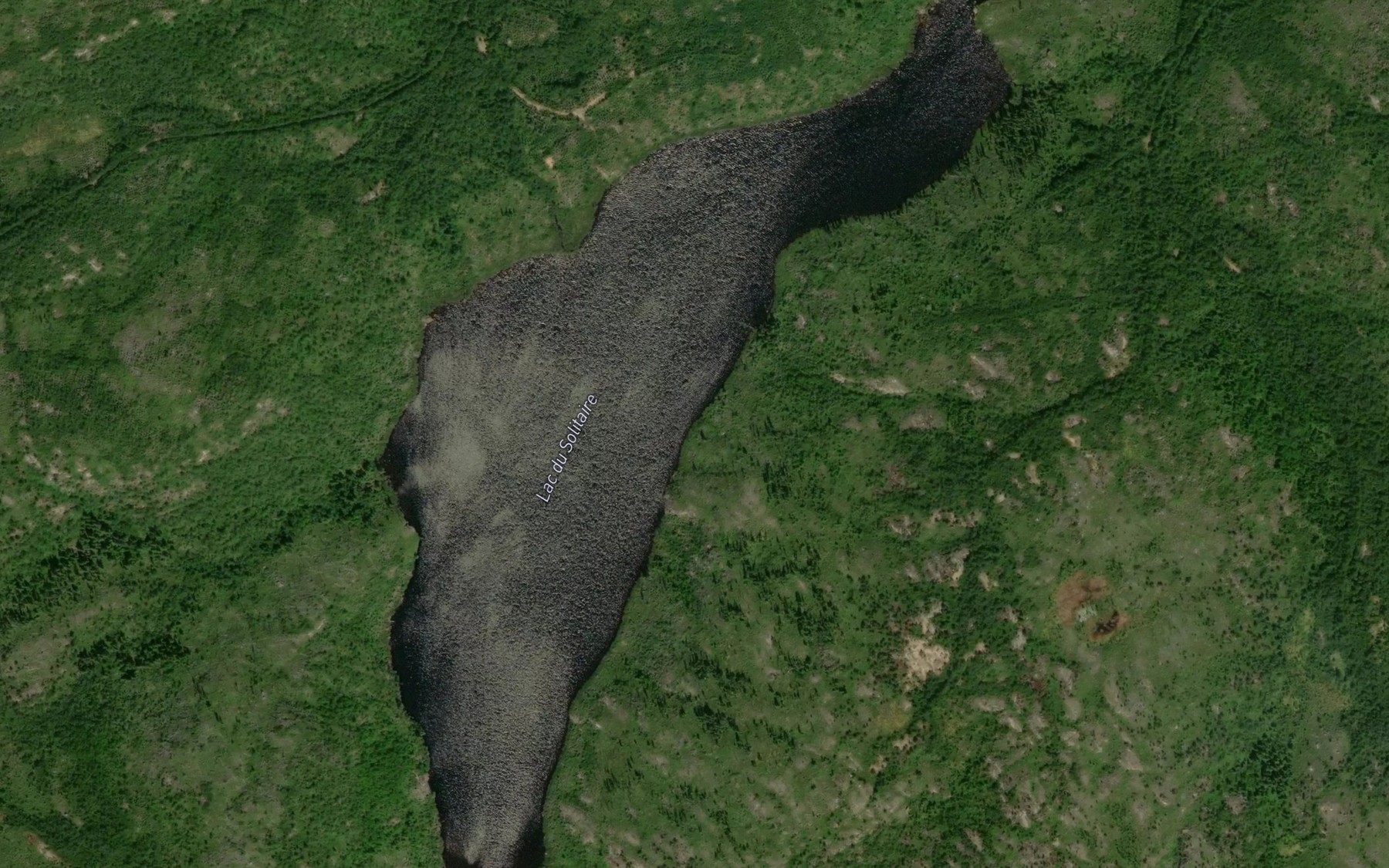 Satellite map of the Lac du Solitaire