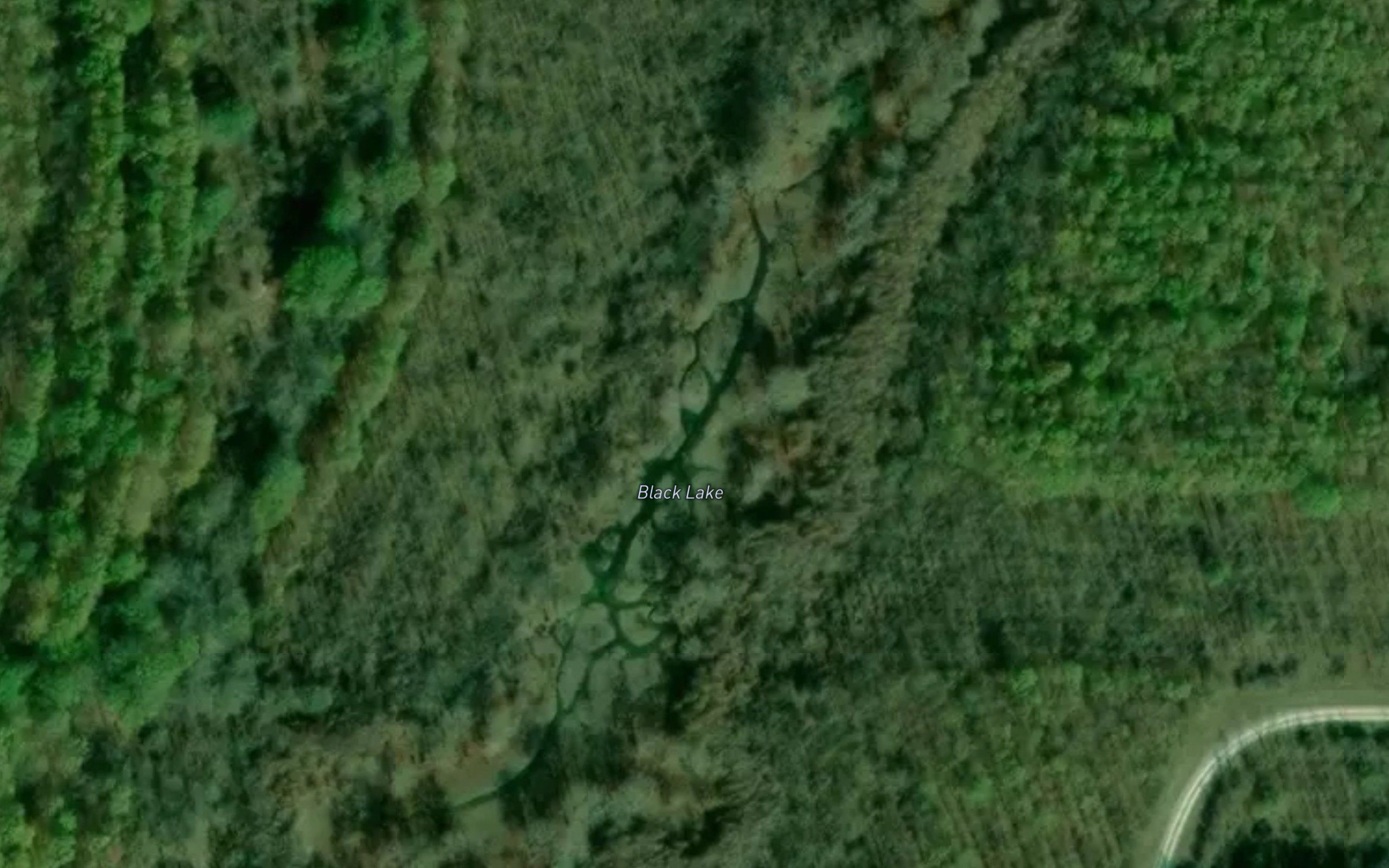 Black Lake