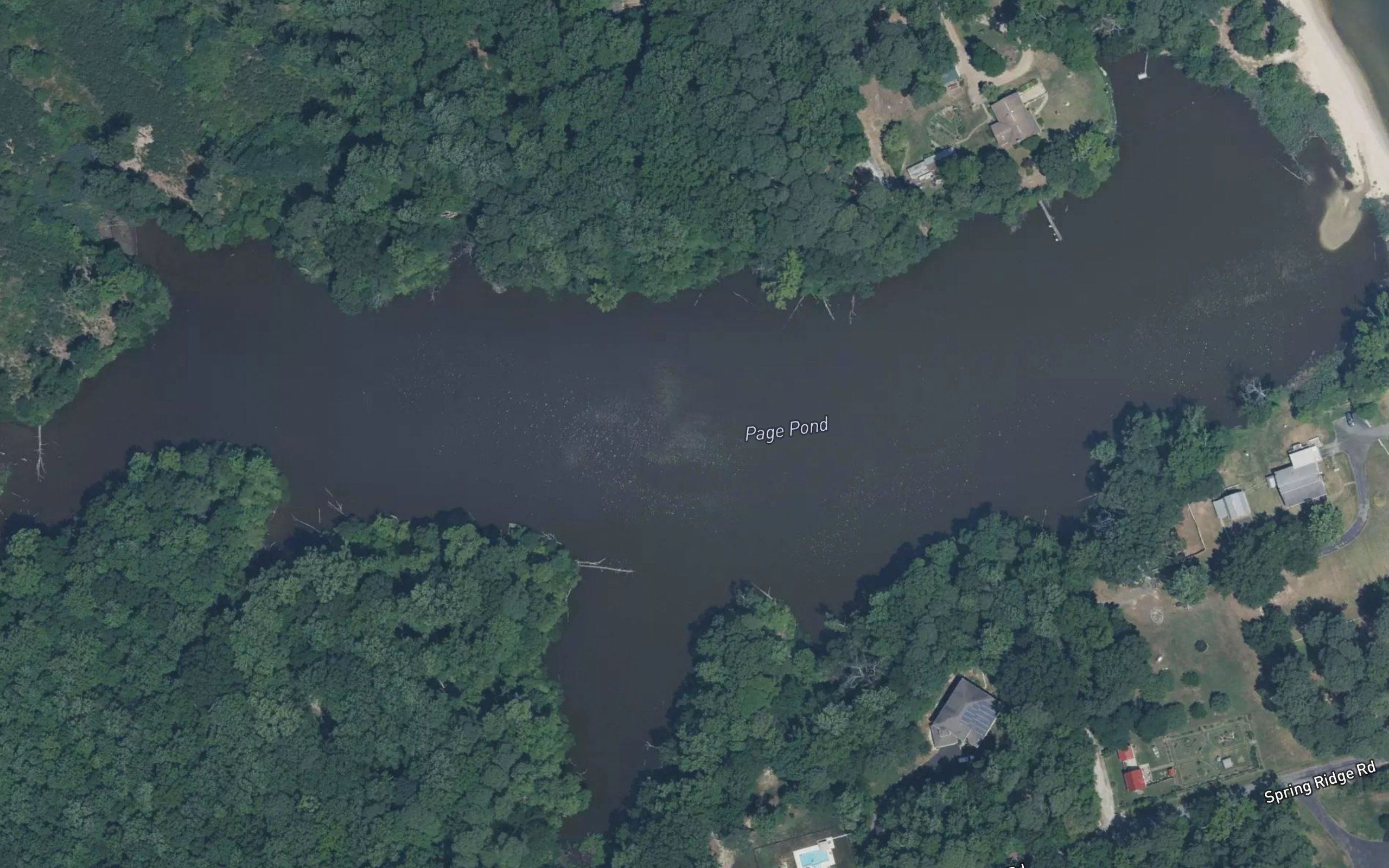 Page Pond