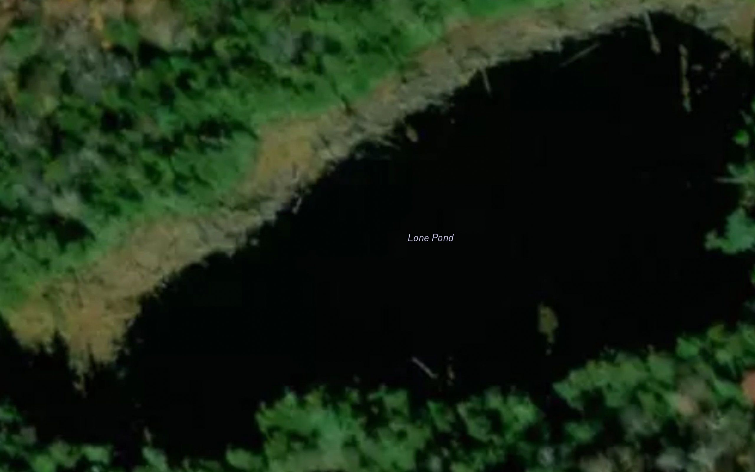 Lone Pond