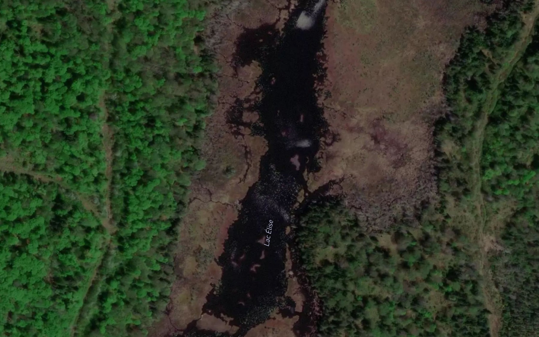 Satellite map of the Lac Elise