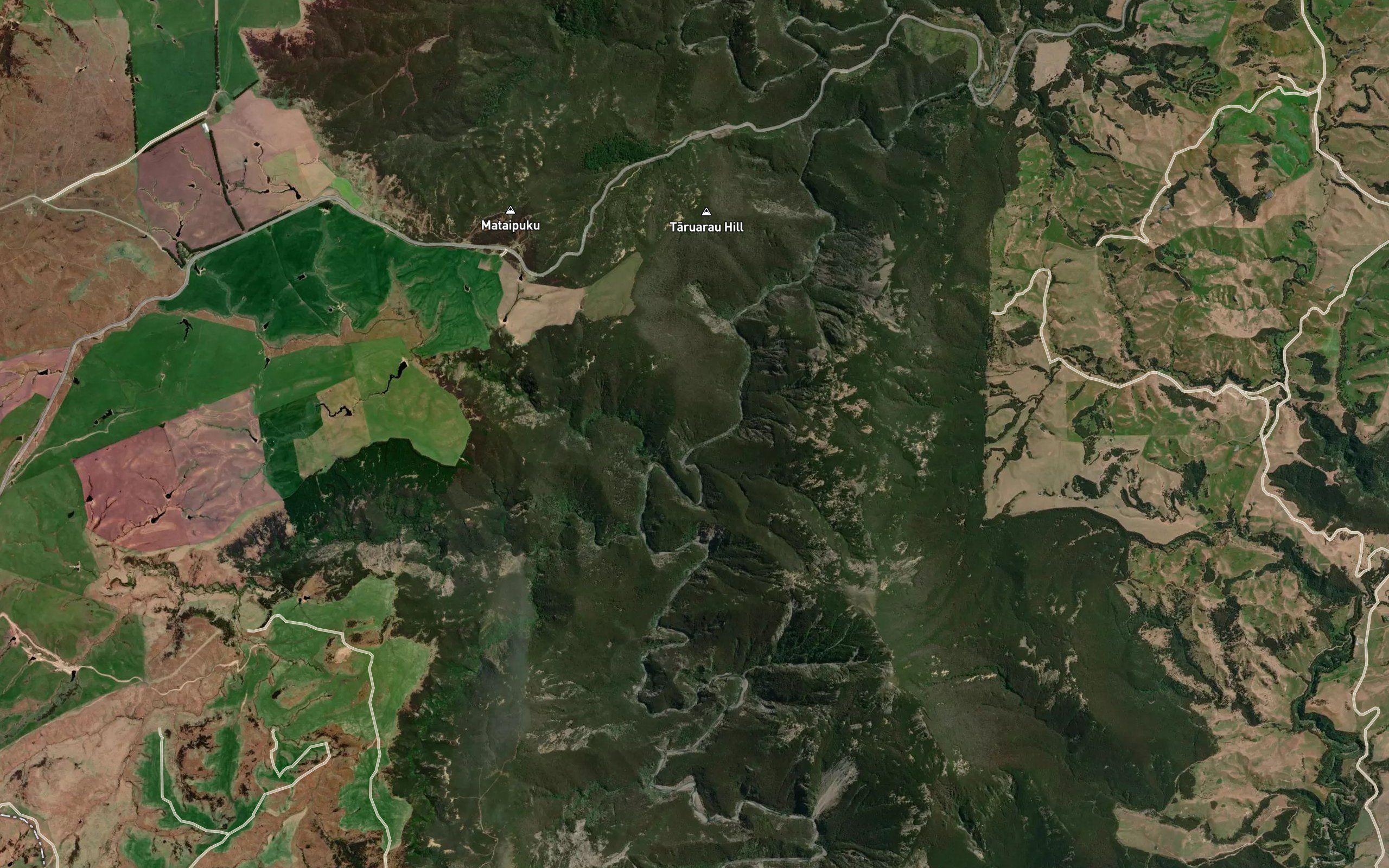 Taruarau River