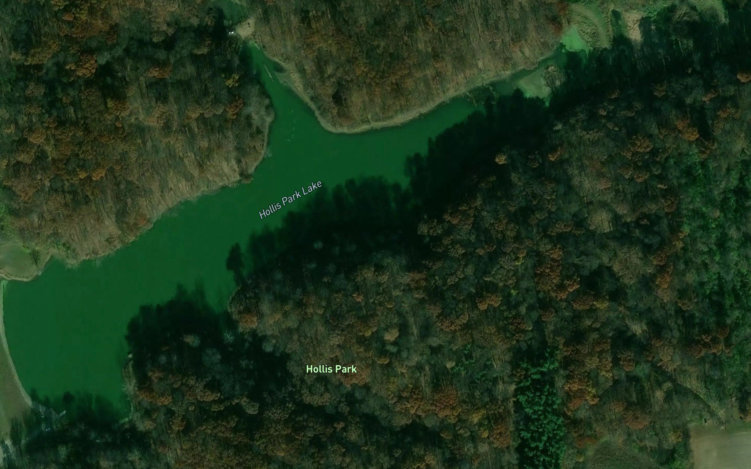 Hollis Park Lake