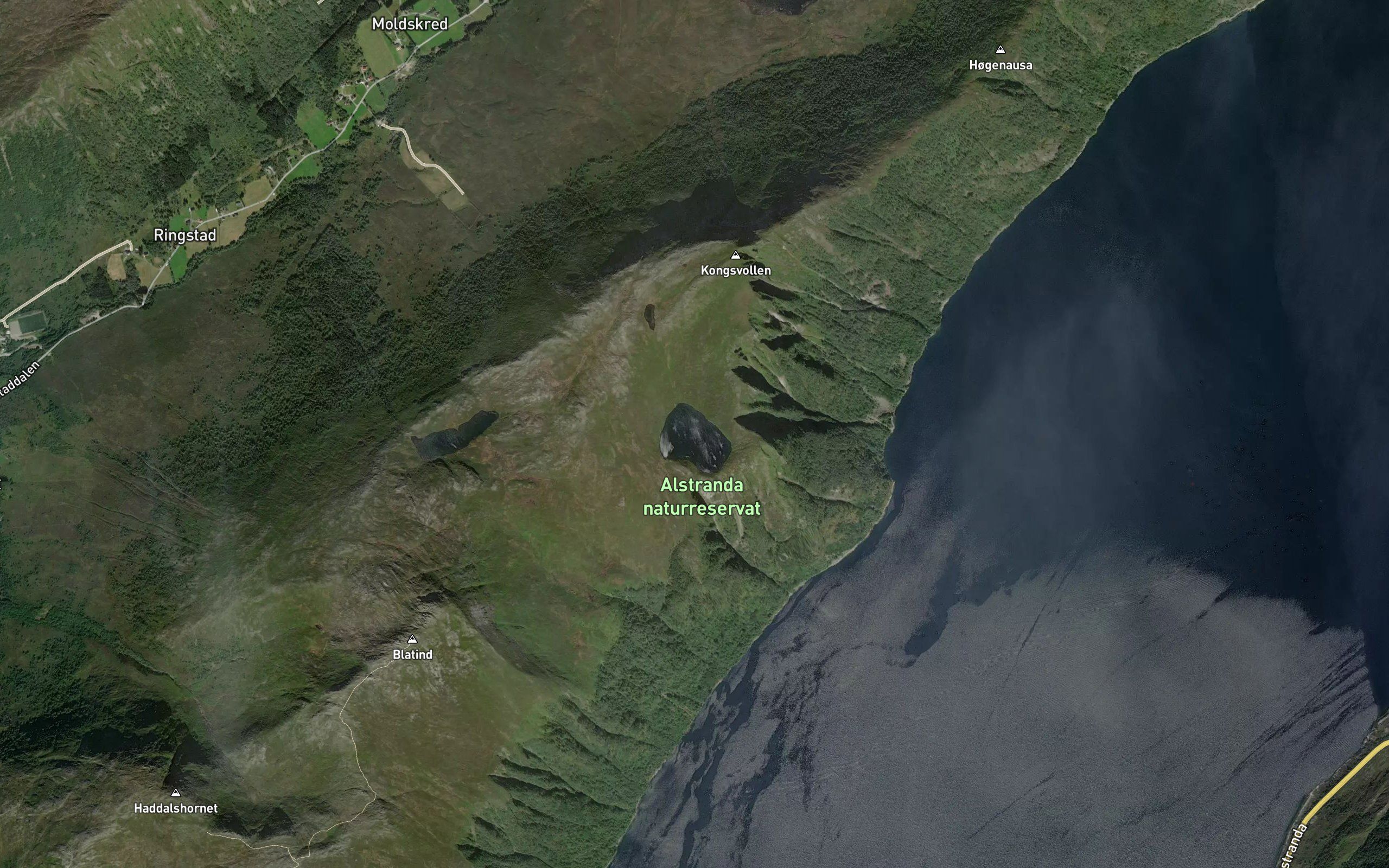 Laupsvatnet