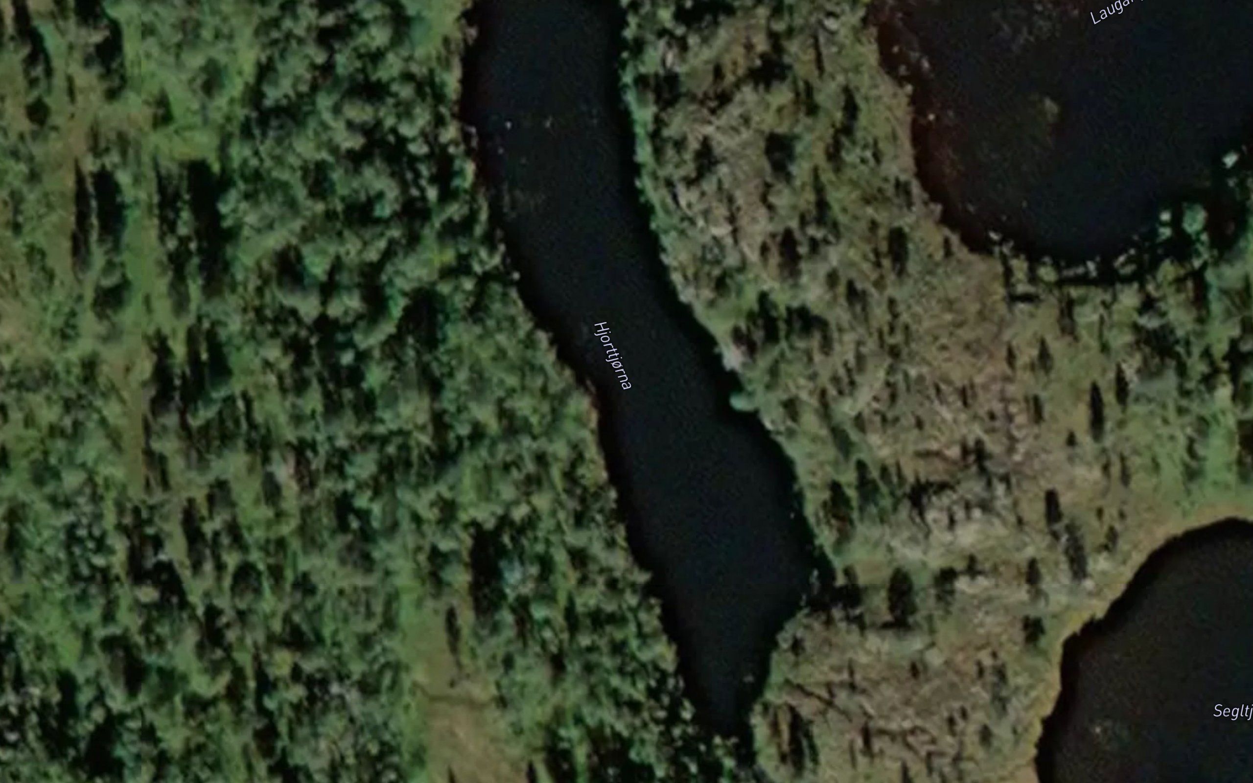 Hjorttjorna