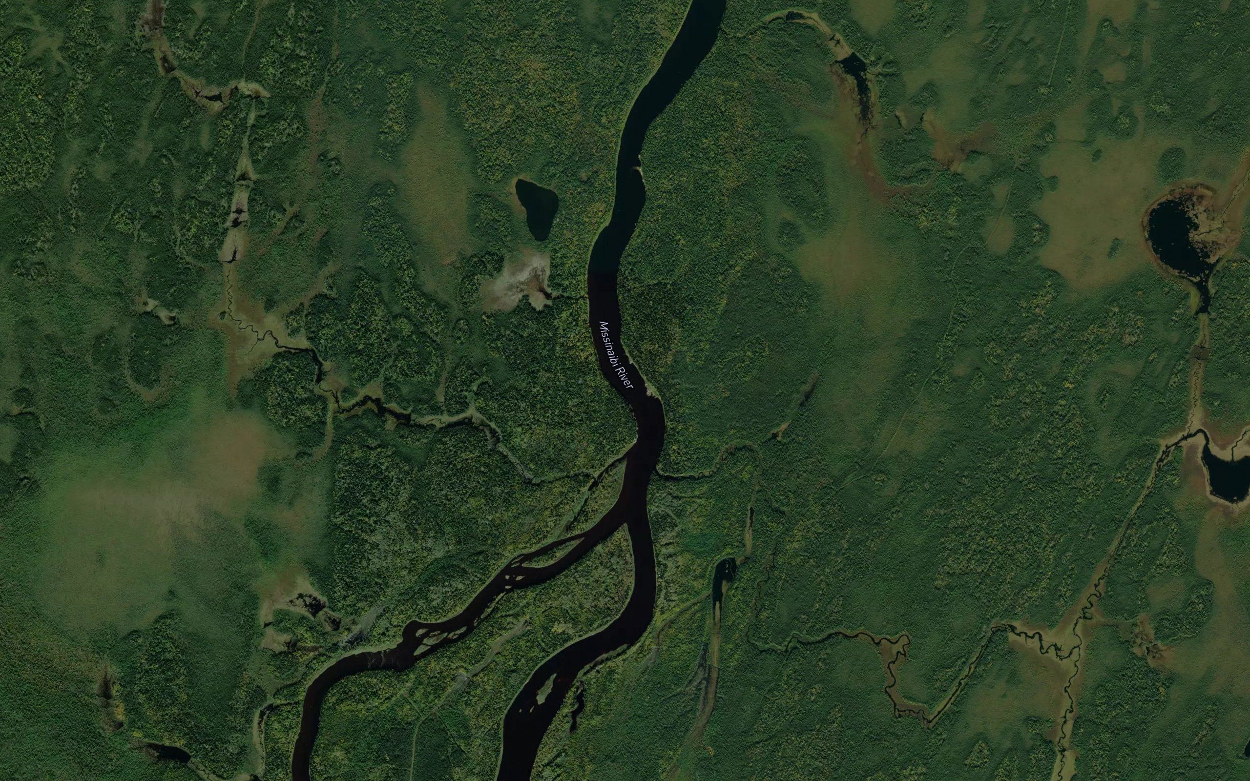 Goldwin Creek