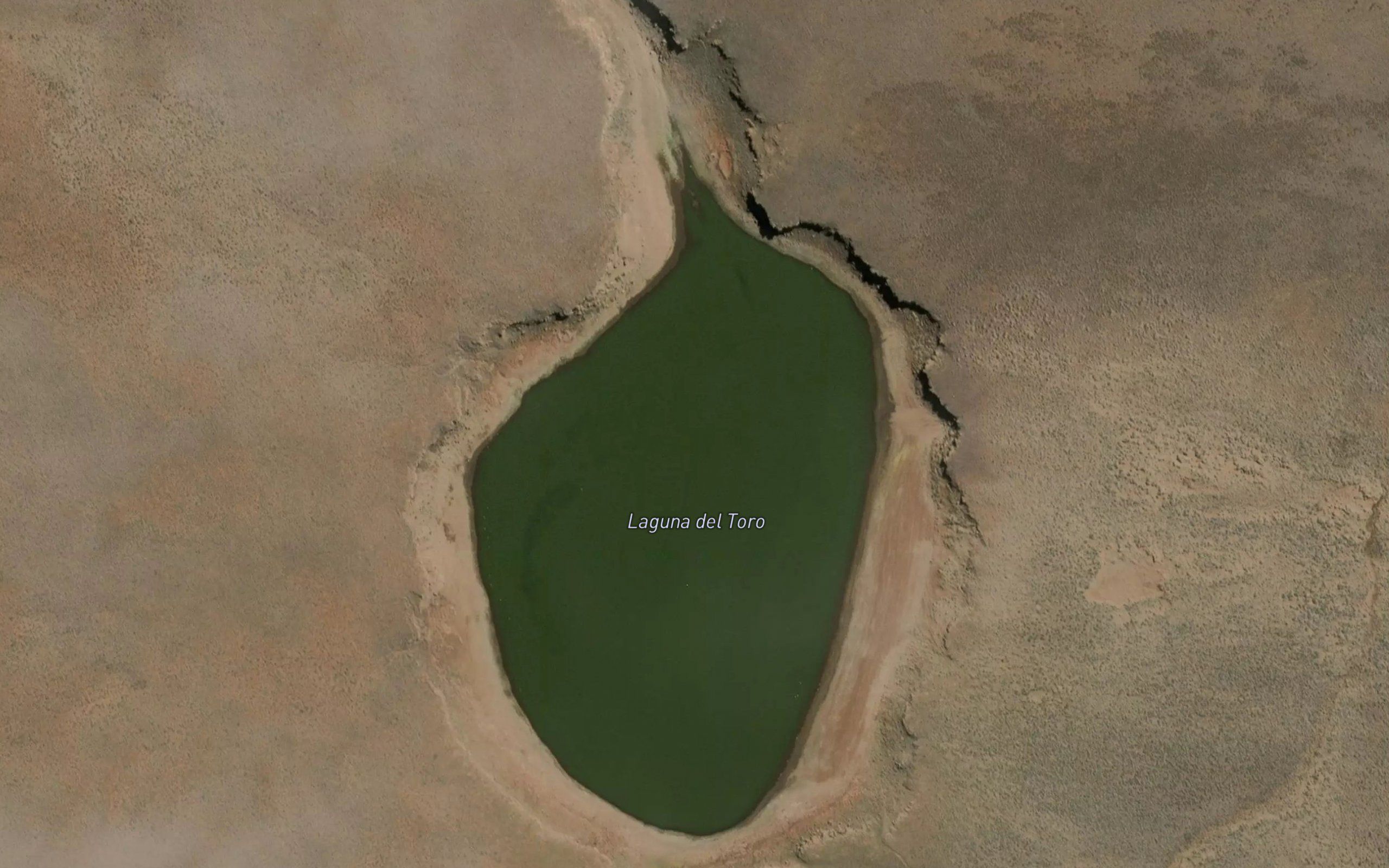 Laguna del Tarro
