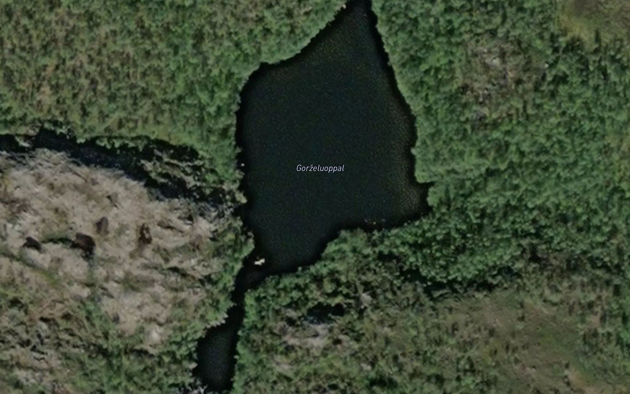 Garneluobbal
