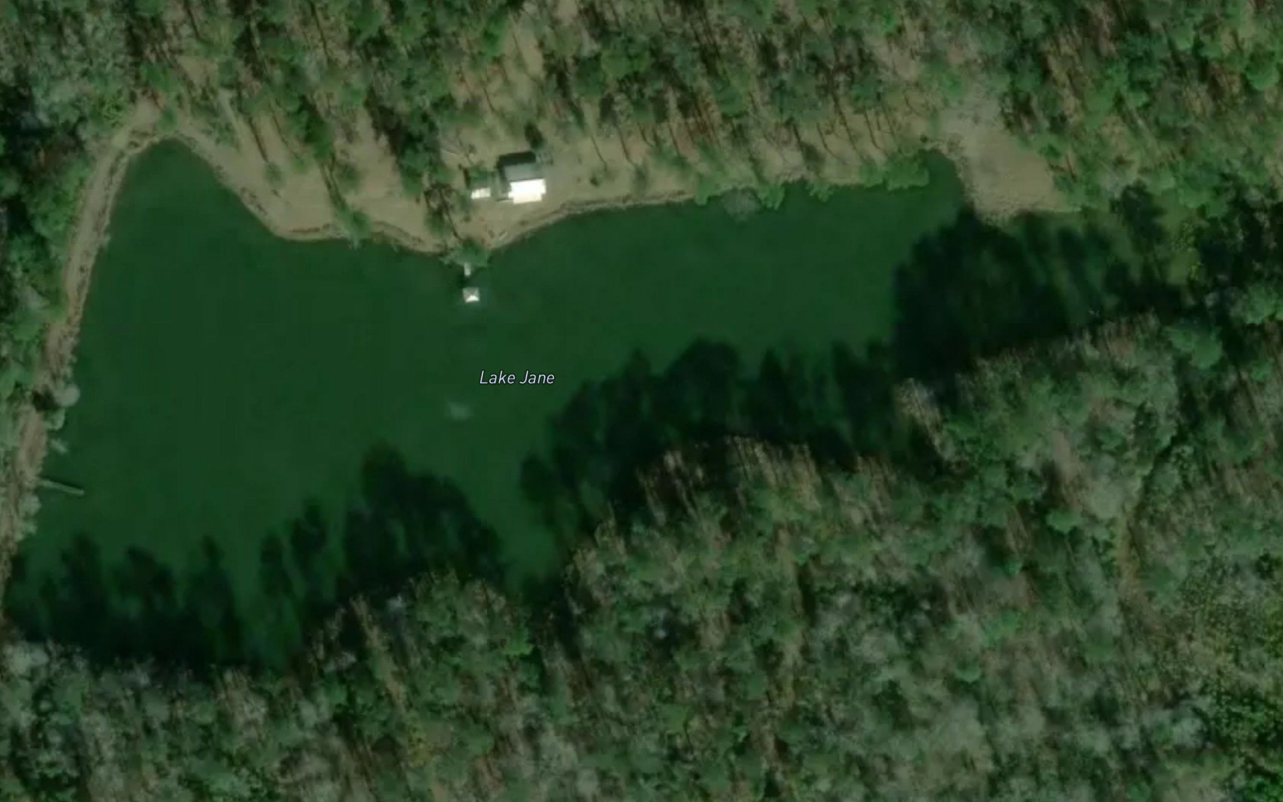 Lake Jane