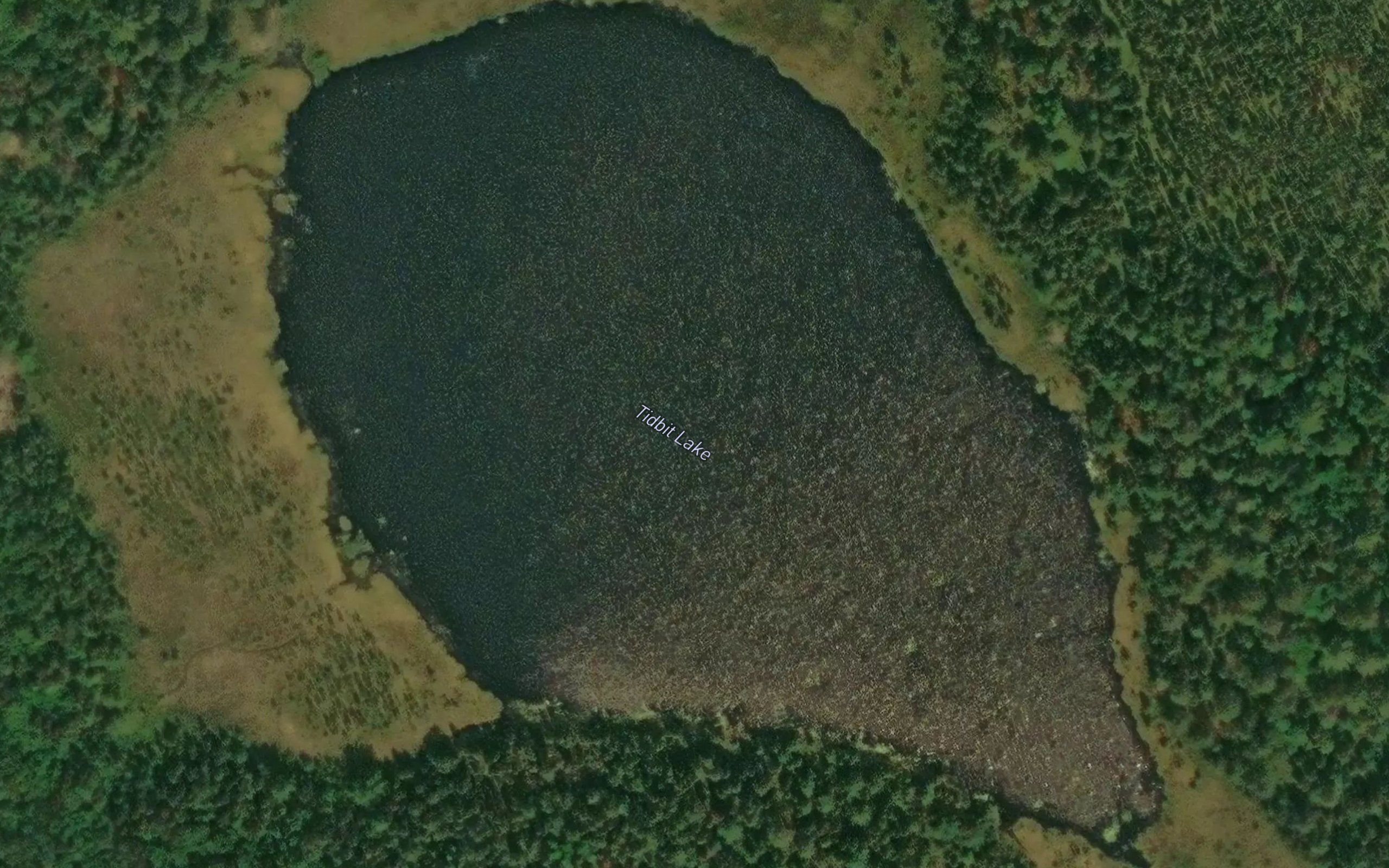 Tidbit Lake