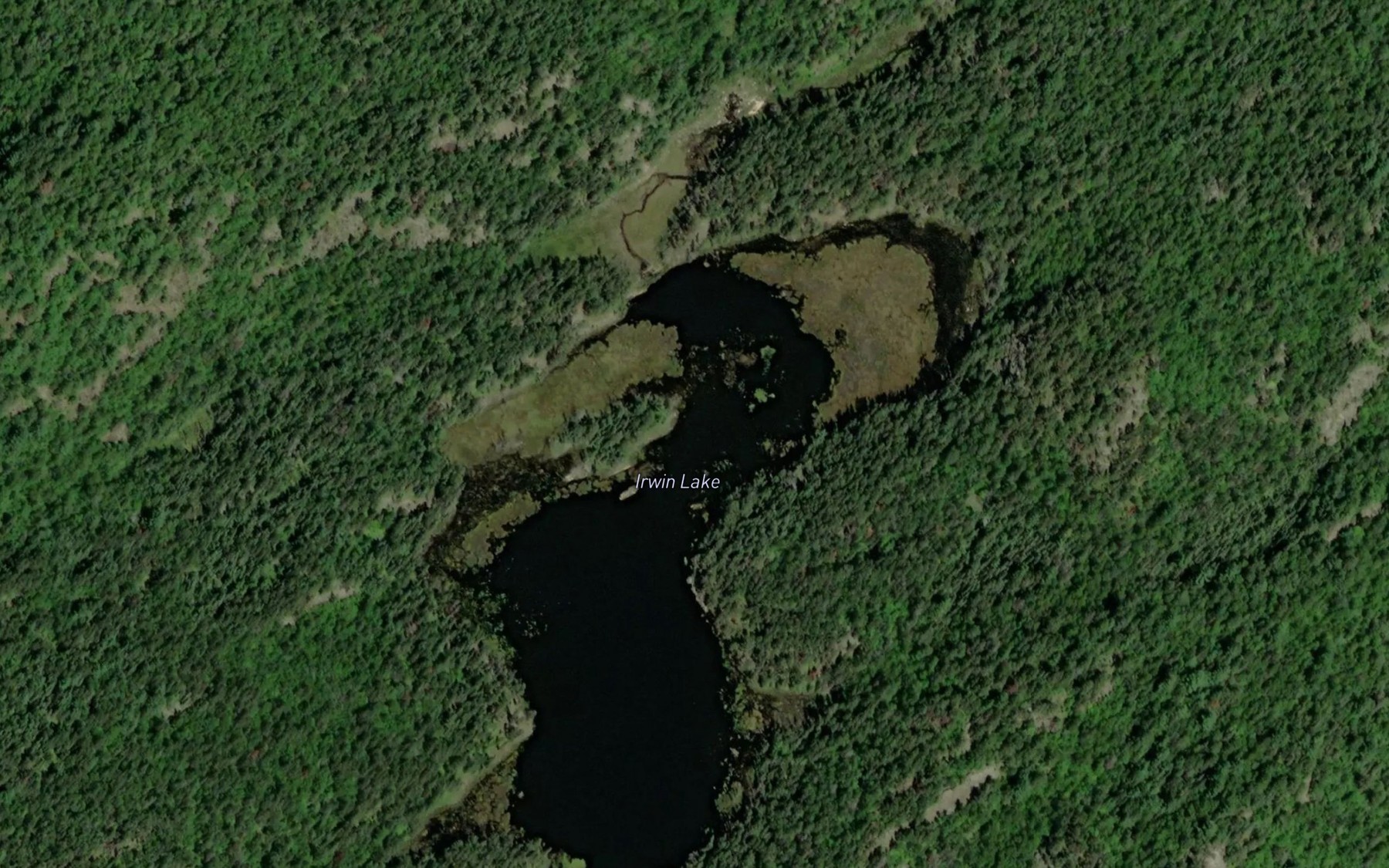 Satellite map of the Irwin Lake