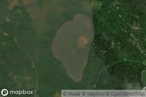 Orchid Lake