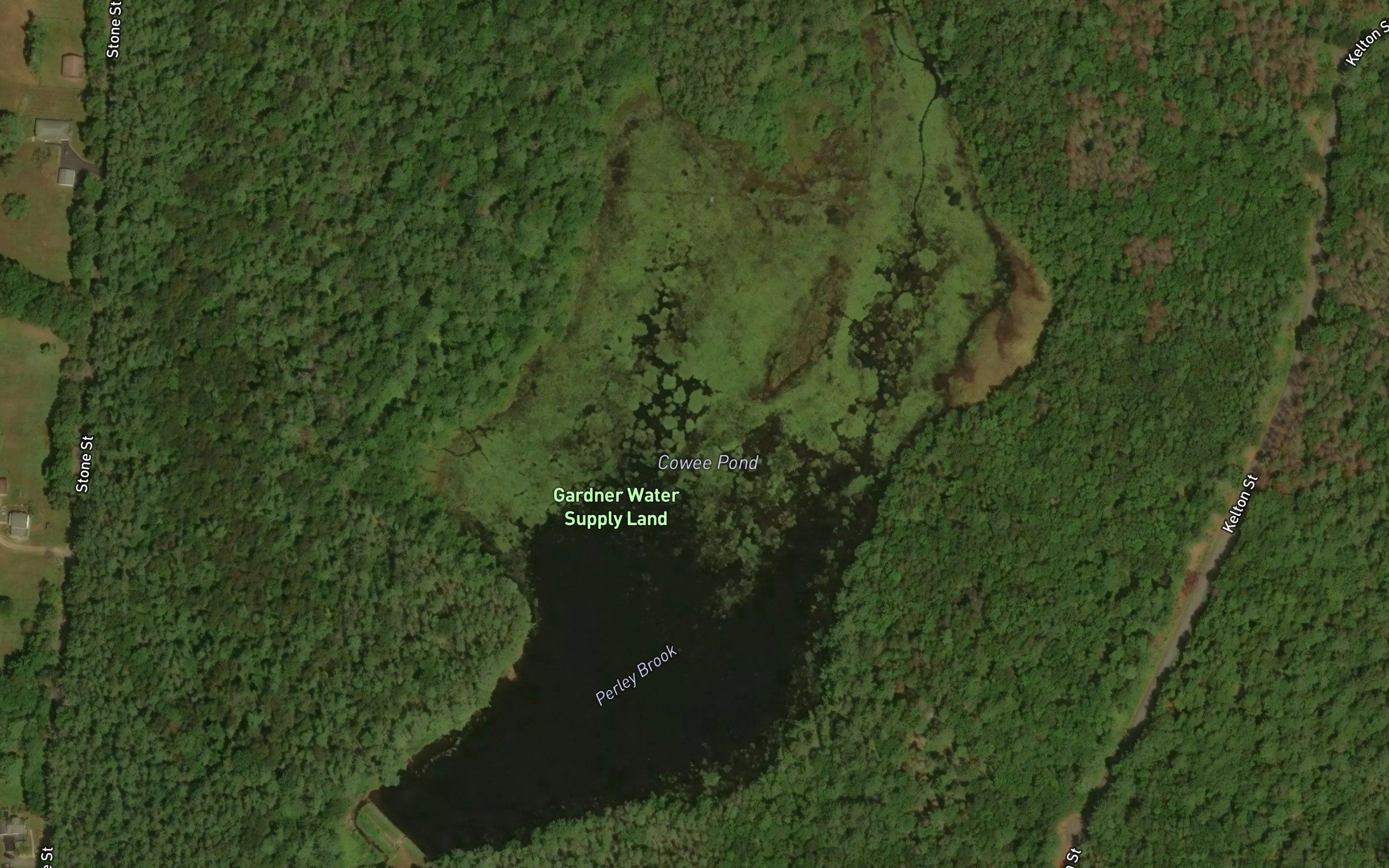 Cowee Pond