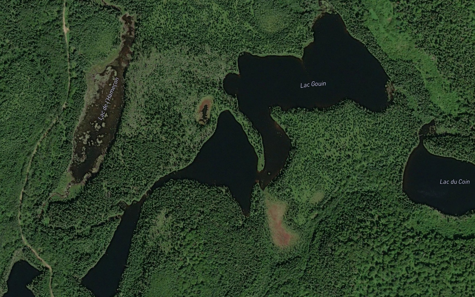Satellite map of the Lac Gouin