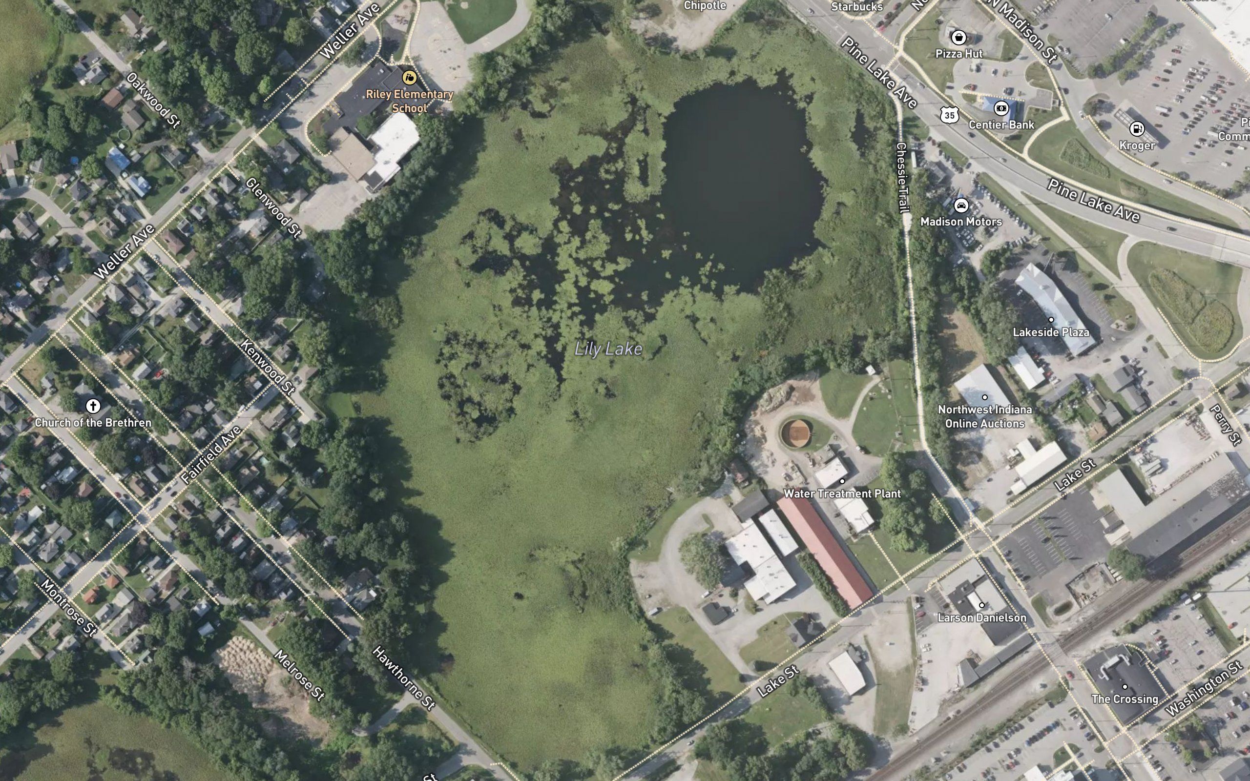 Lily Lake