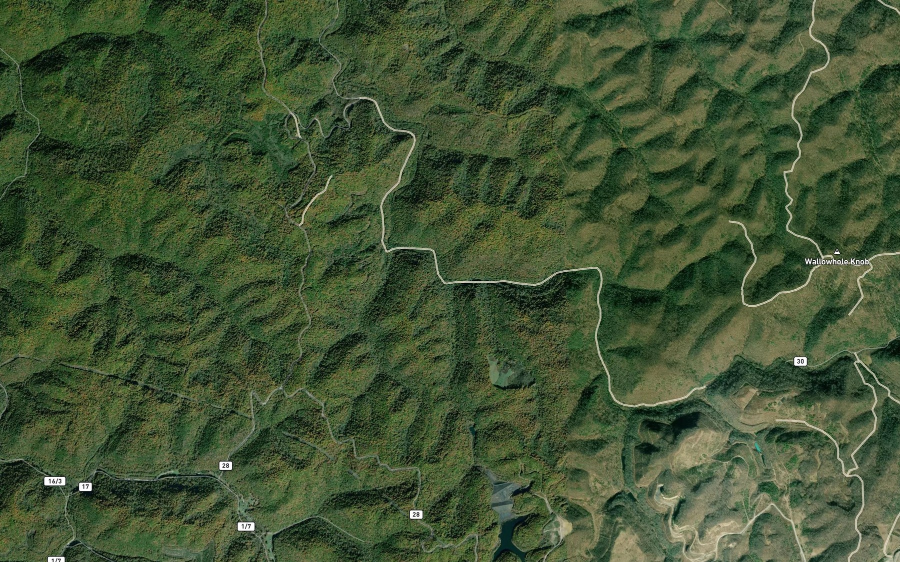 Satellite map of the Big Branch