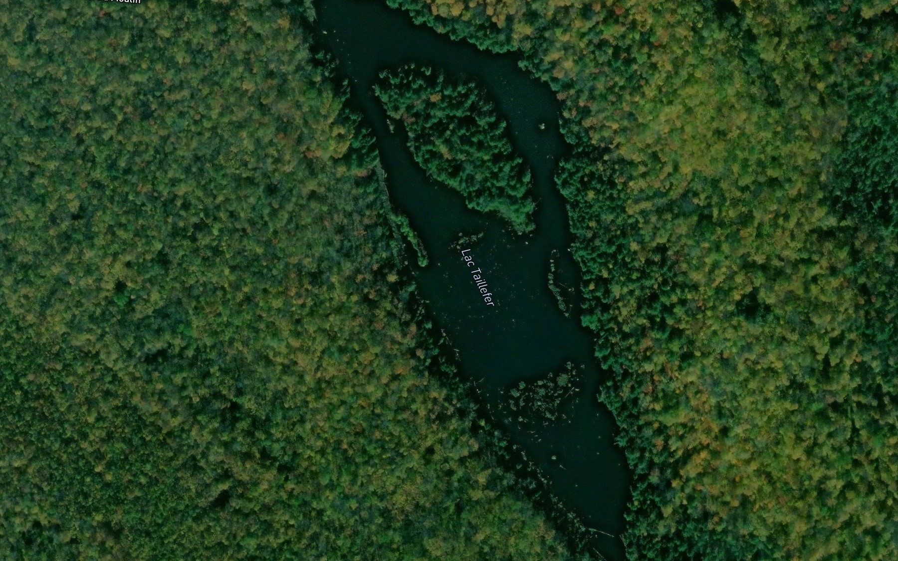 Satellite map of the Lac Taillefer
