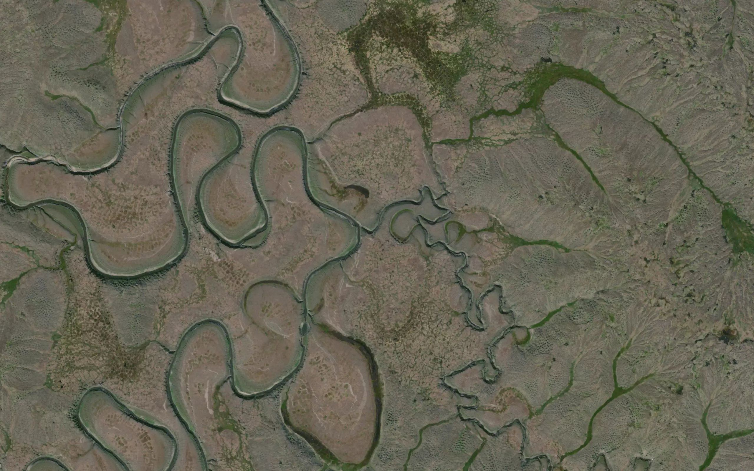 Suburga-Yuryakh