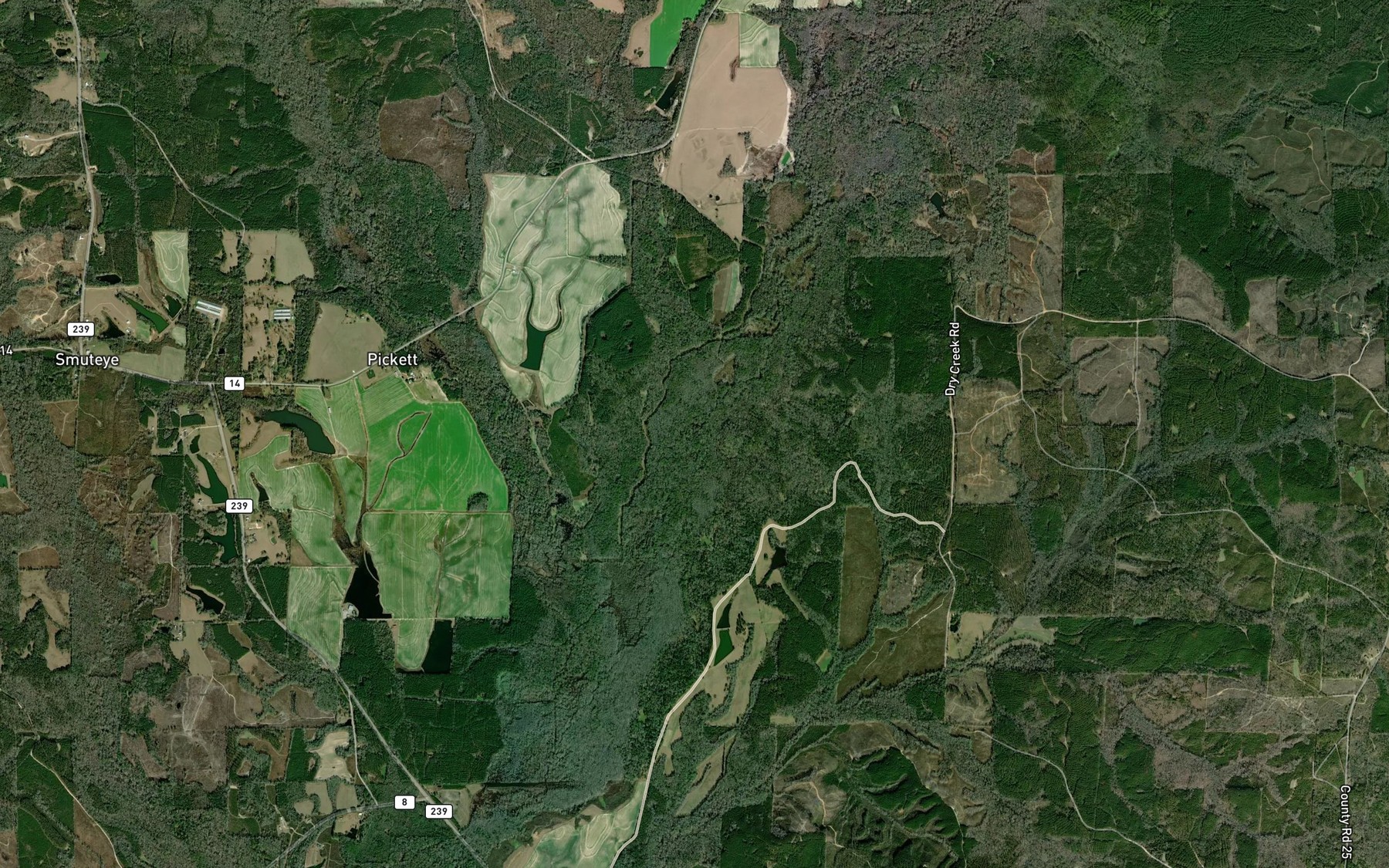 Satellite map of the Spring Creek