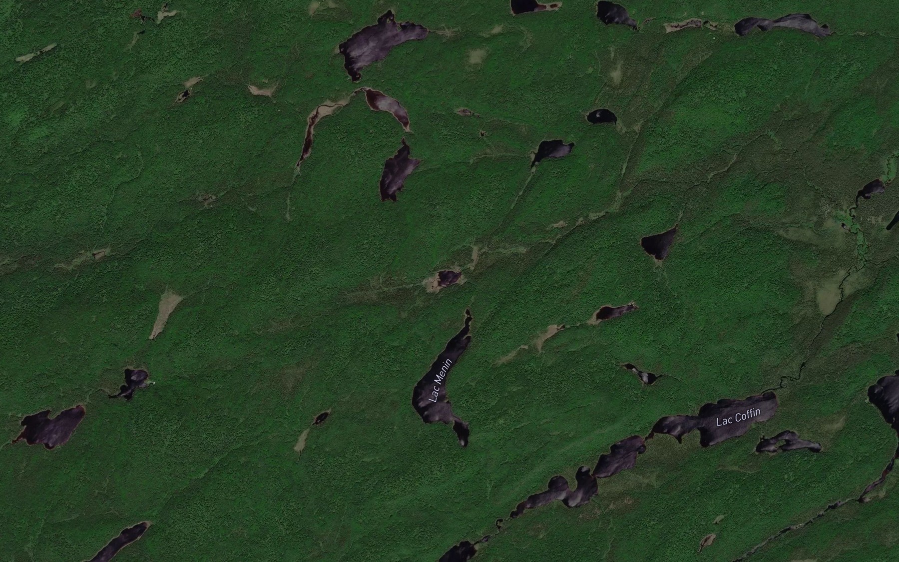Satellite map of the Lac de la Blatte