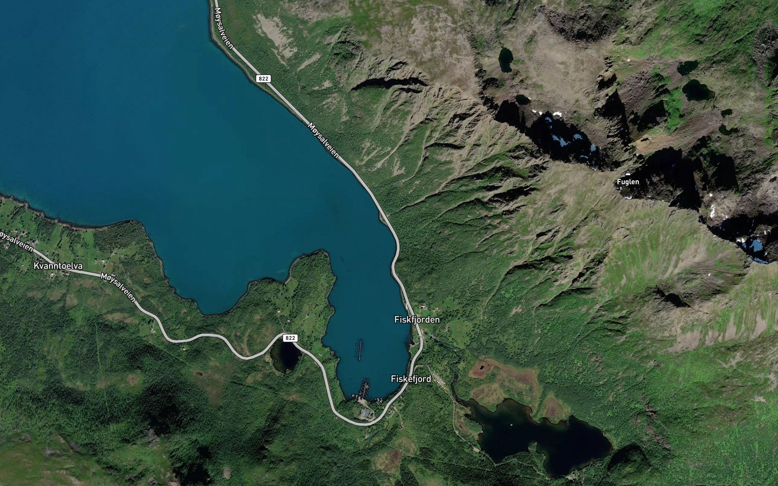 Bergebukta