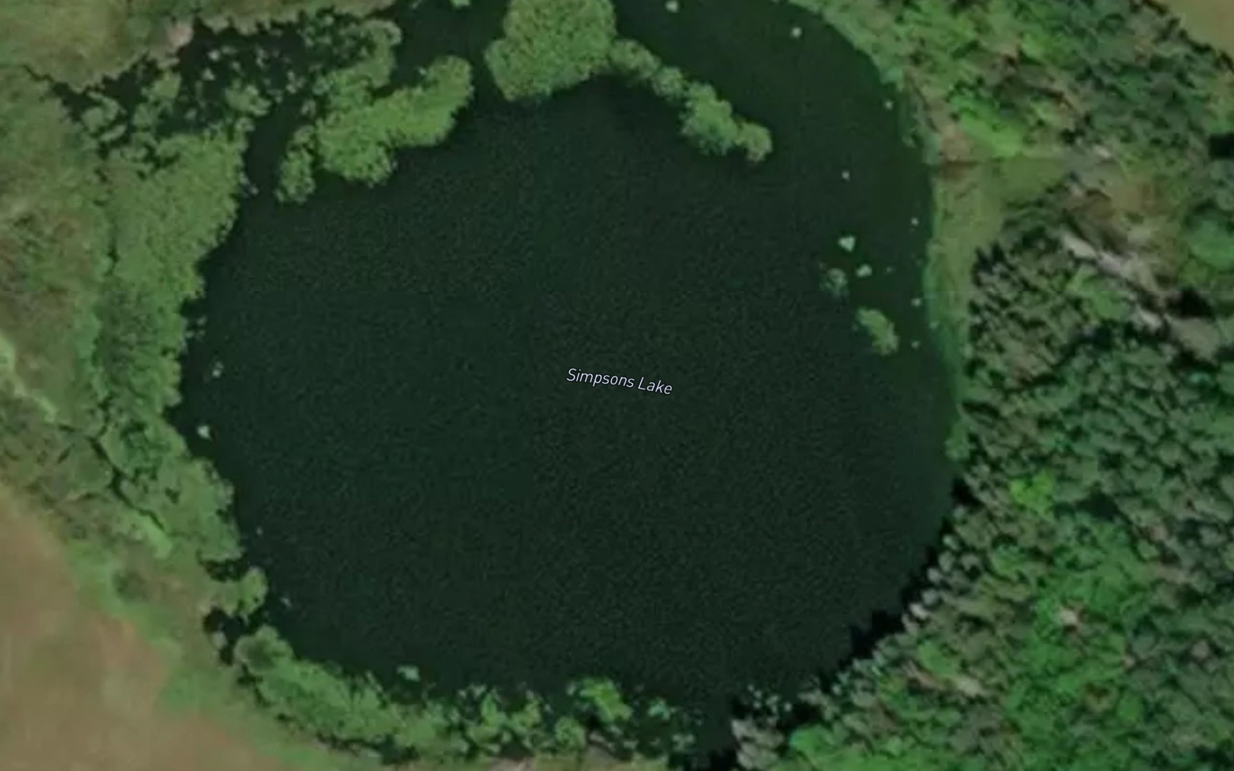 Satellite map of the Simpsons Lake