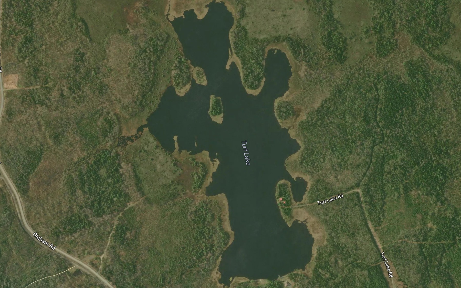 Satellite map of the Turf Lake