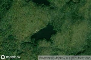 Lac Cow