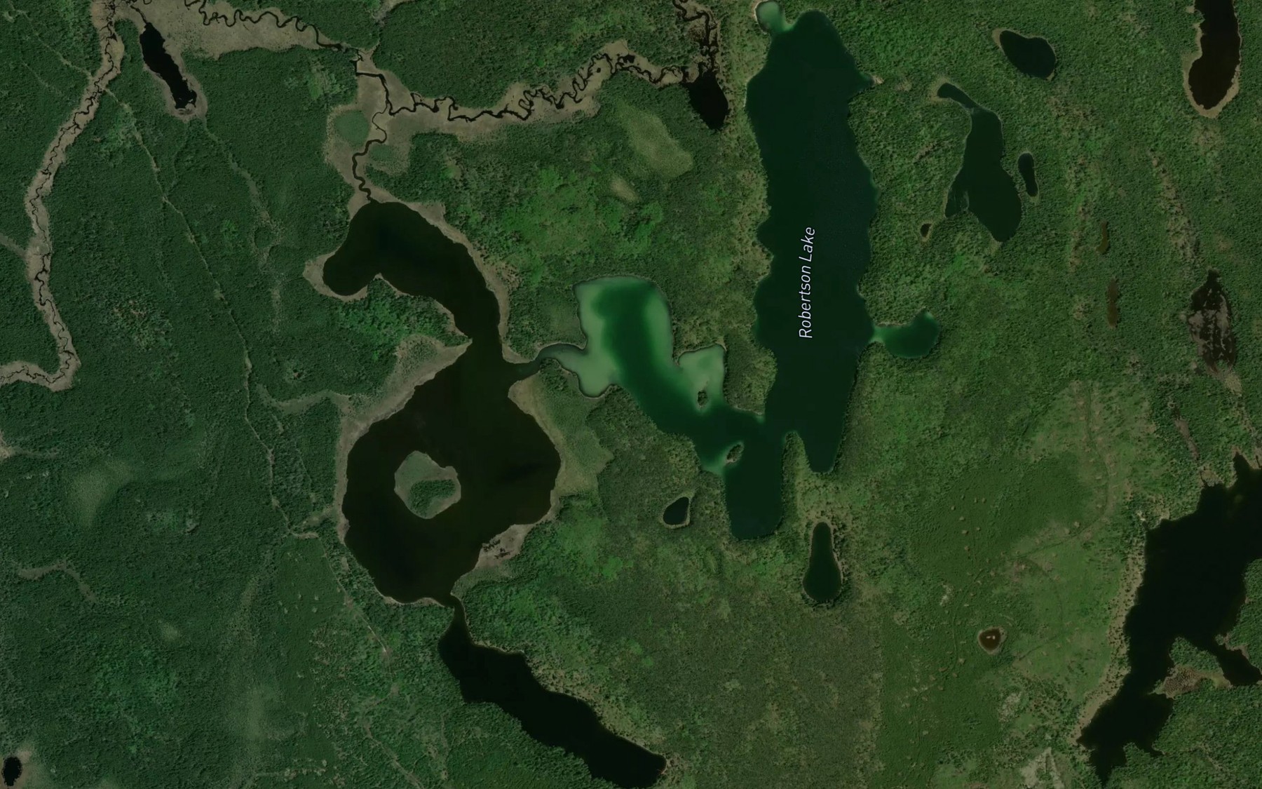 Satellite map of the Robertson Lake