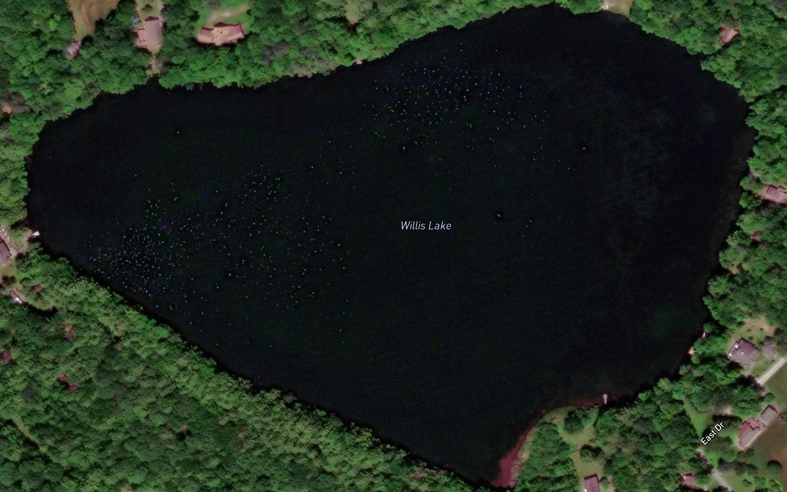 Willis Lake