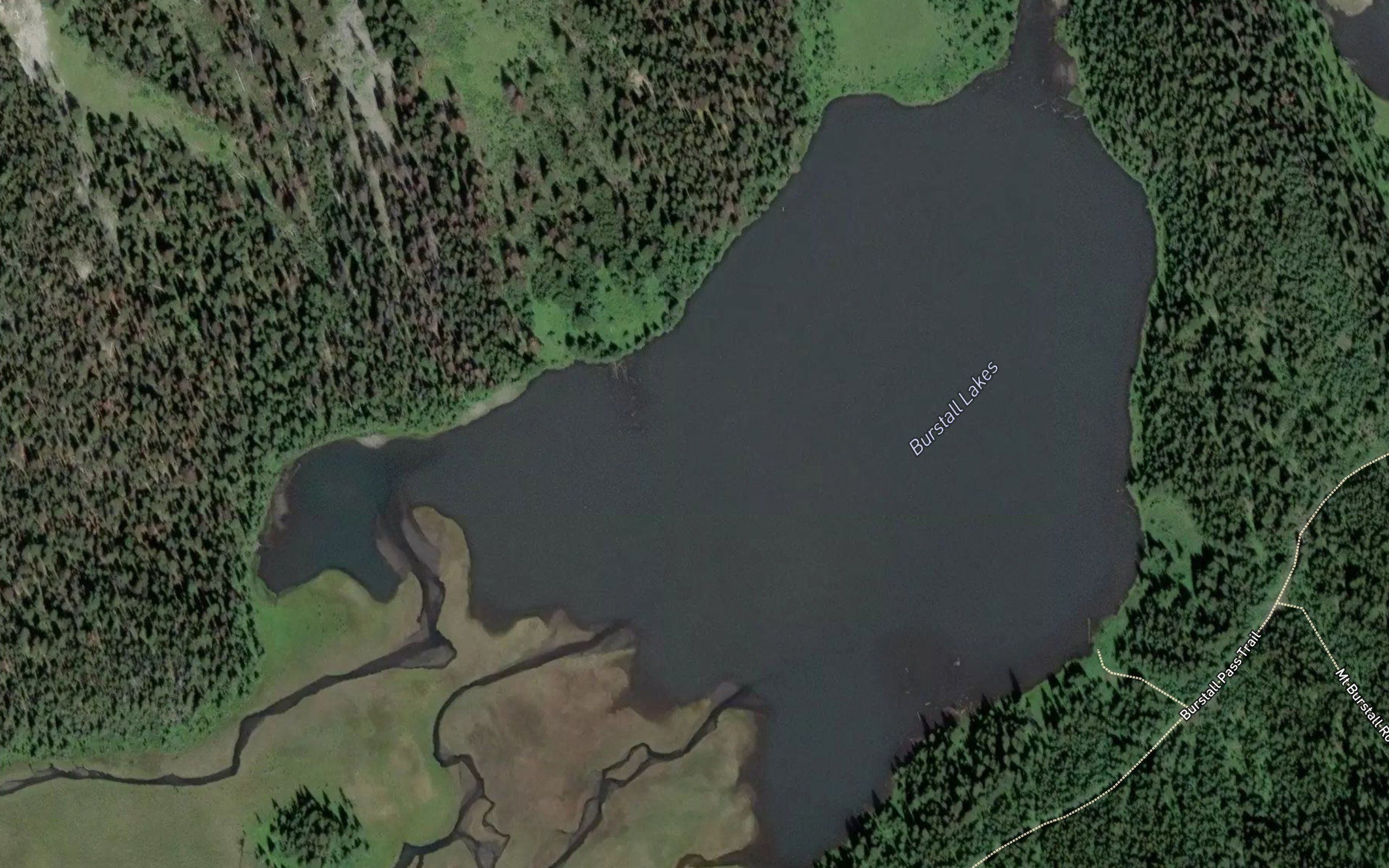 Burstall Lakes