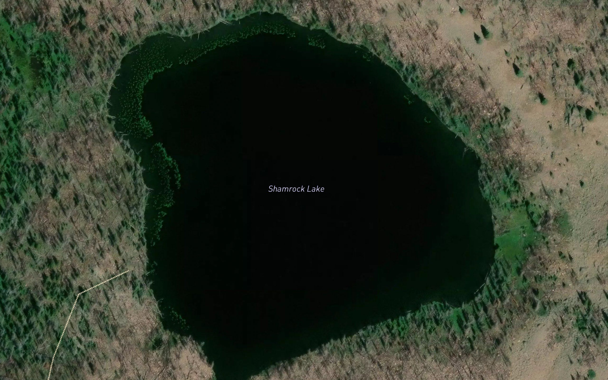 Shamrock Lake