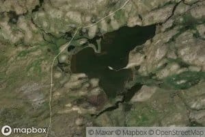 Lundhauketjorni