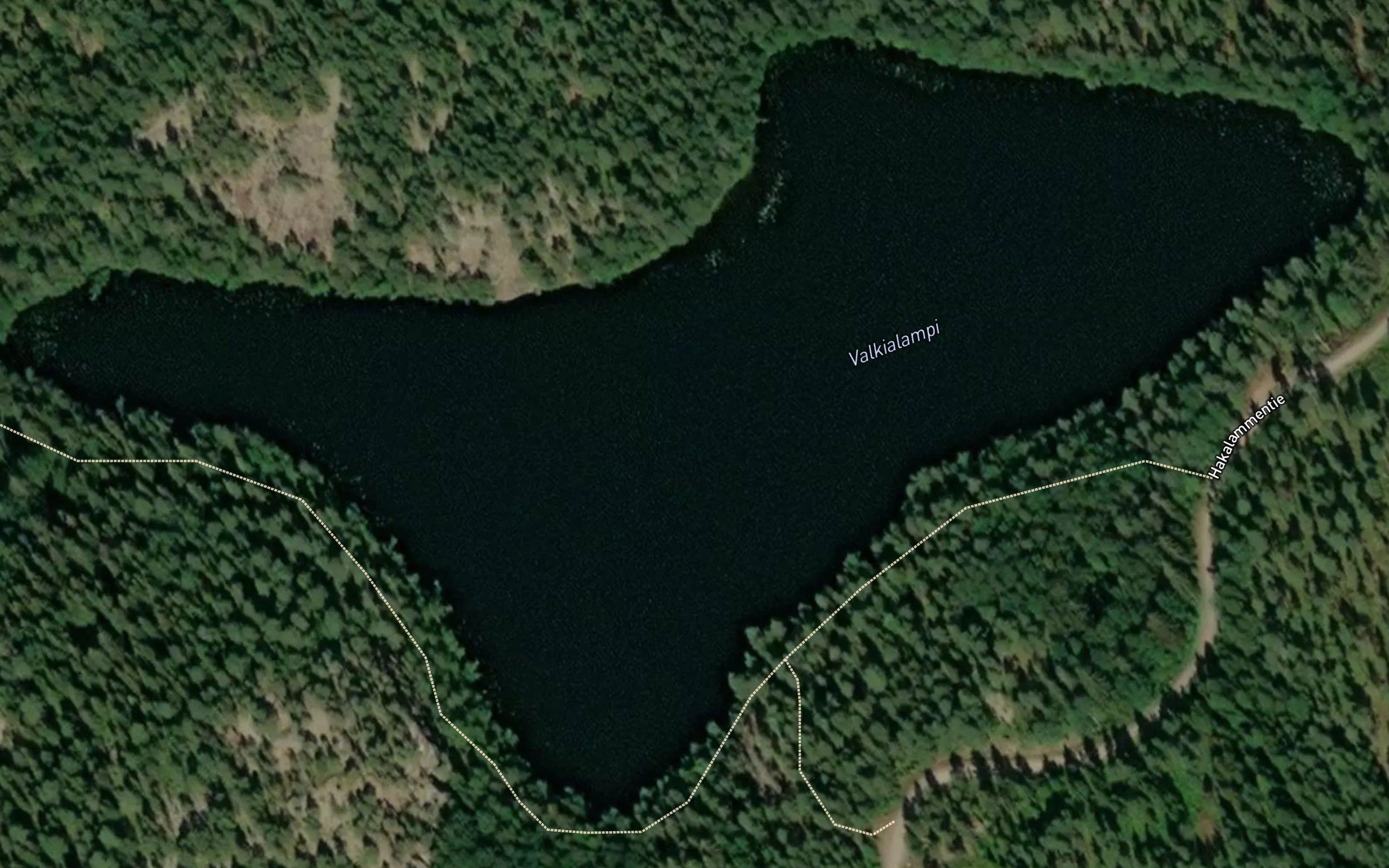 Valkialampi