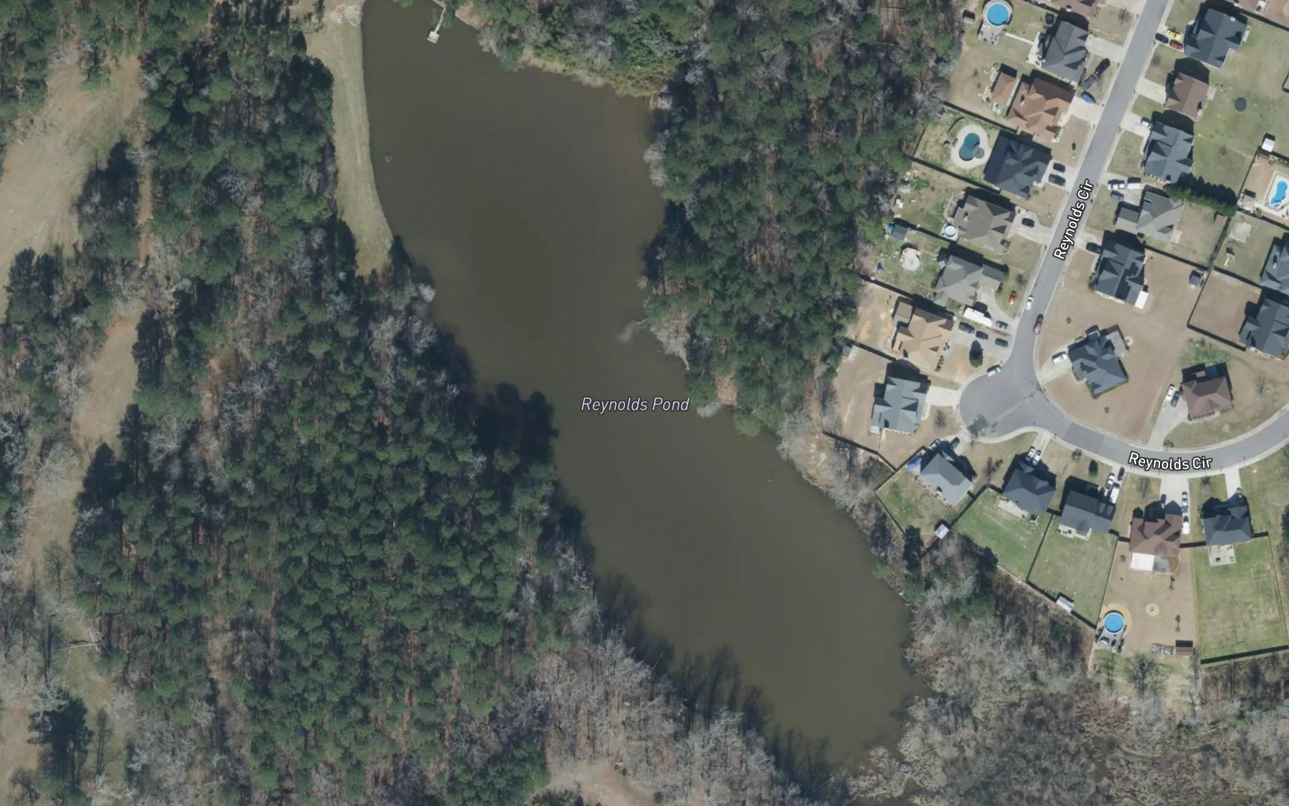 Reynolds Pond