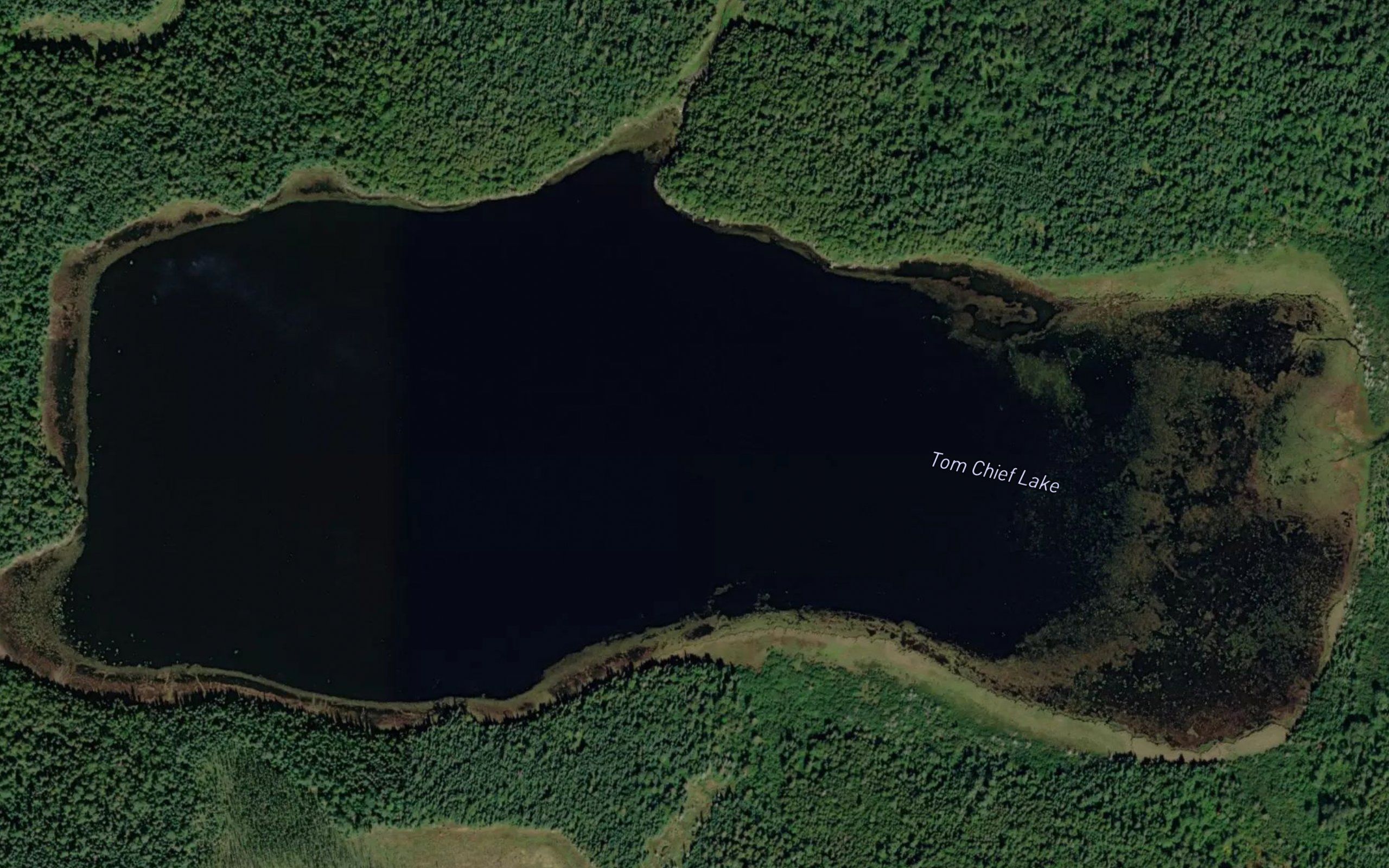 Tom Chief Lake