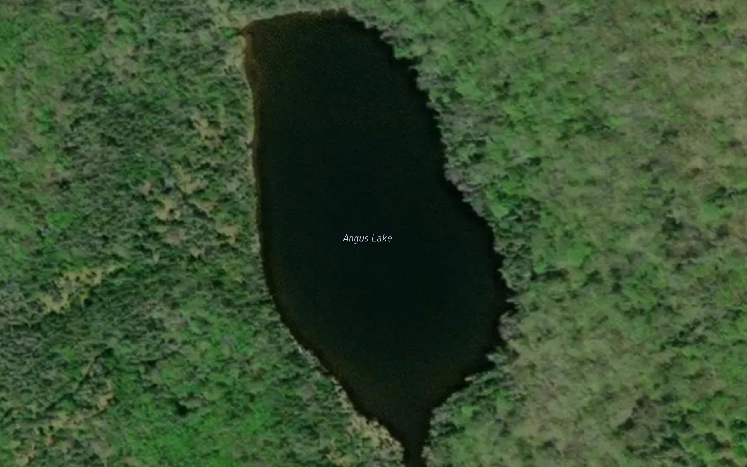 Angus Lake