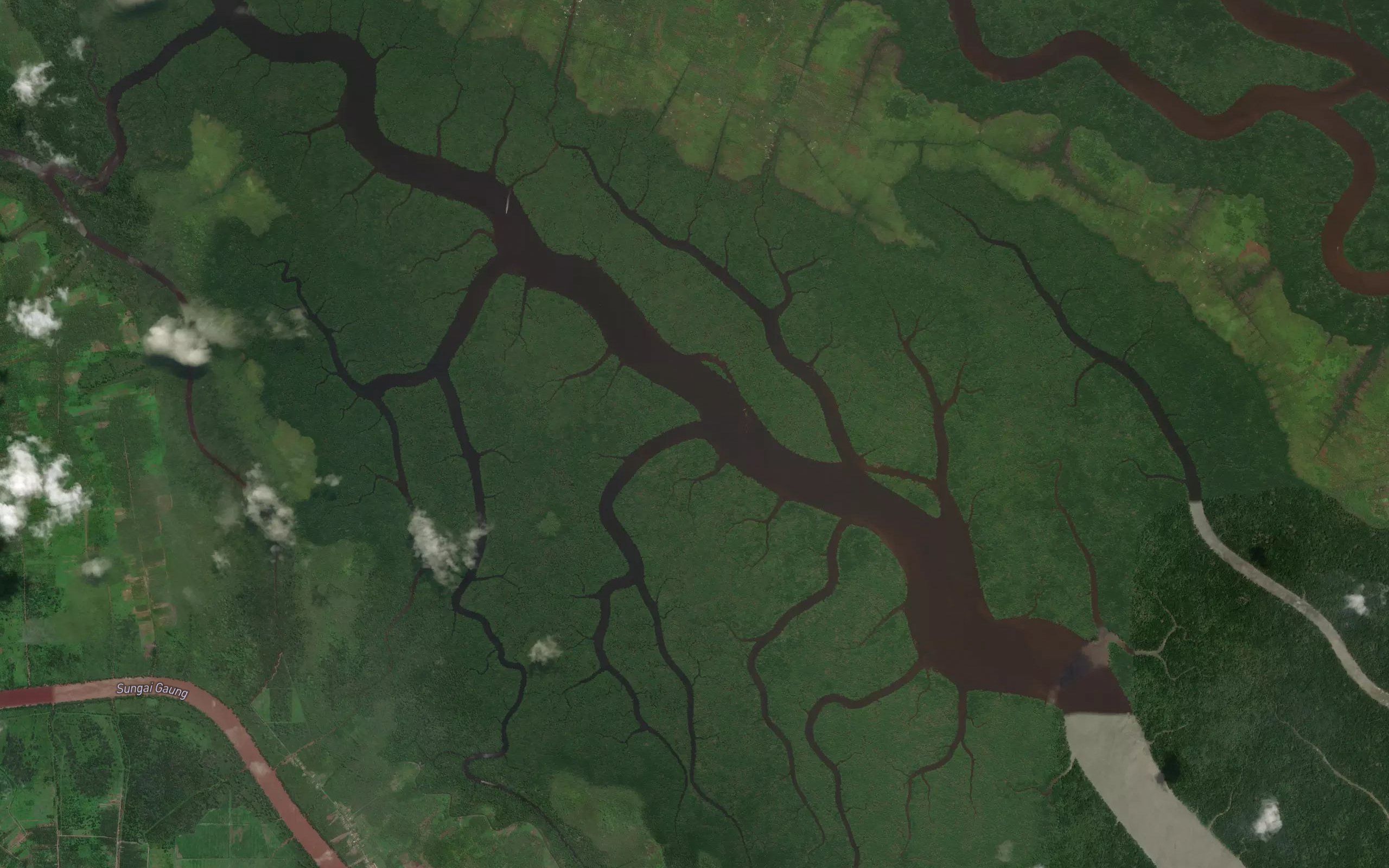 Sungai Anak Kulit Kerang Hulu