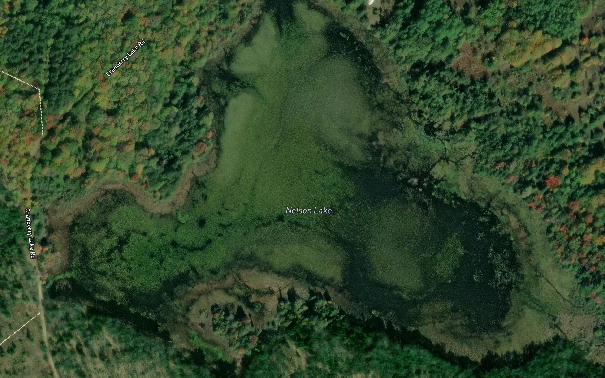 Nelson Lake