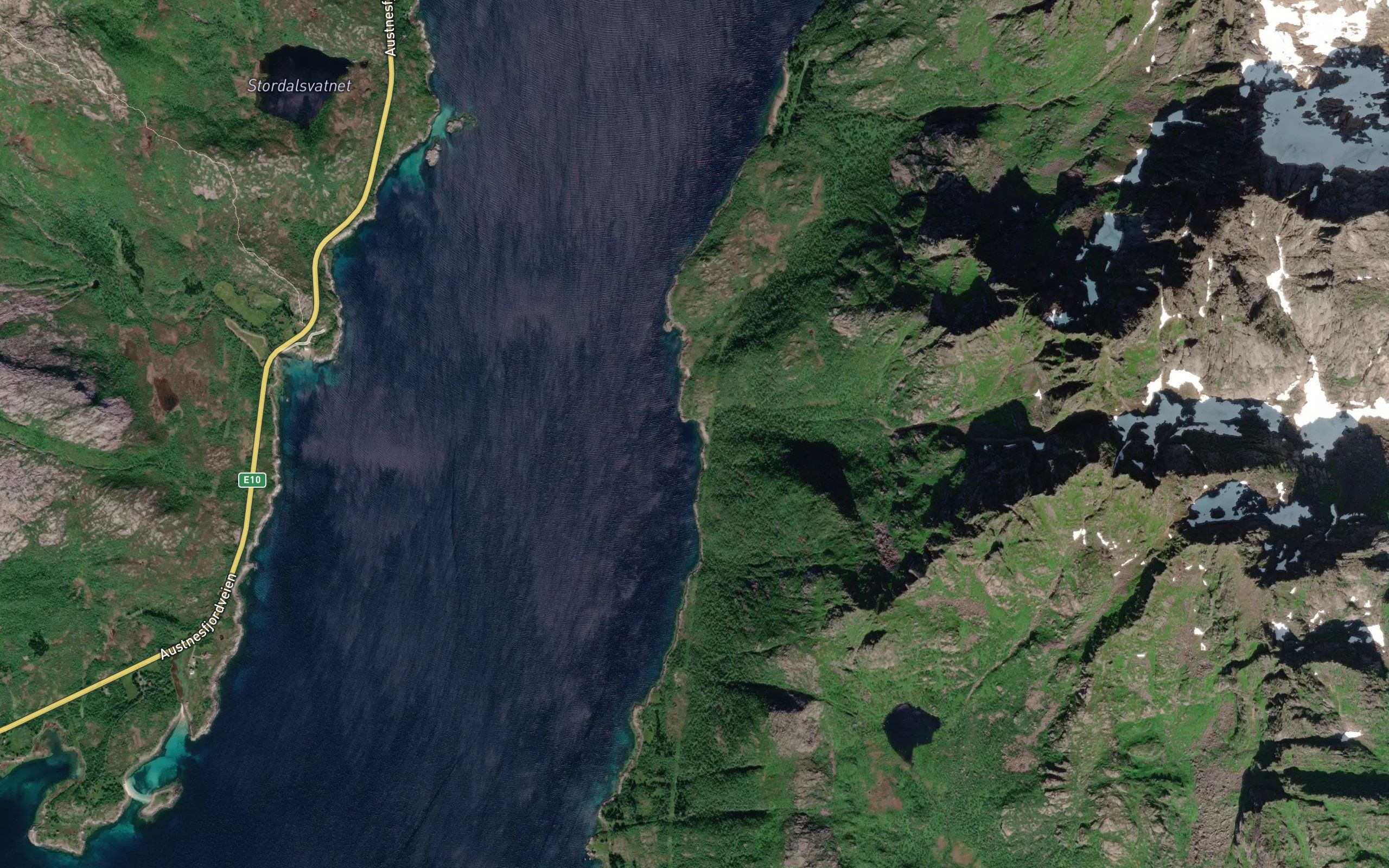 Fleskvika