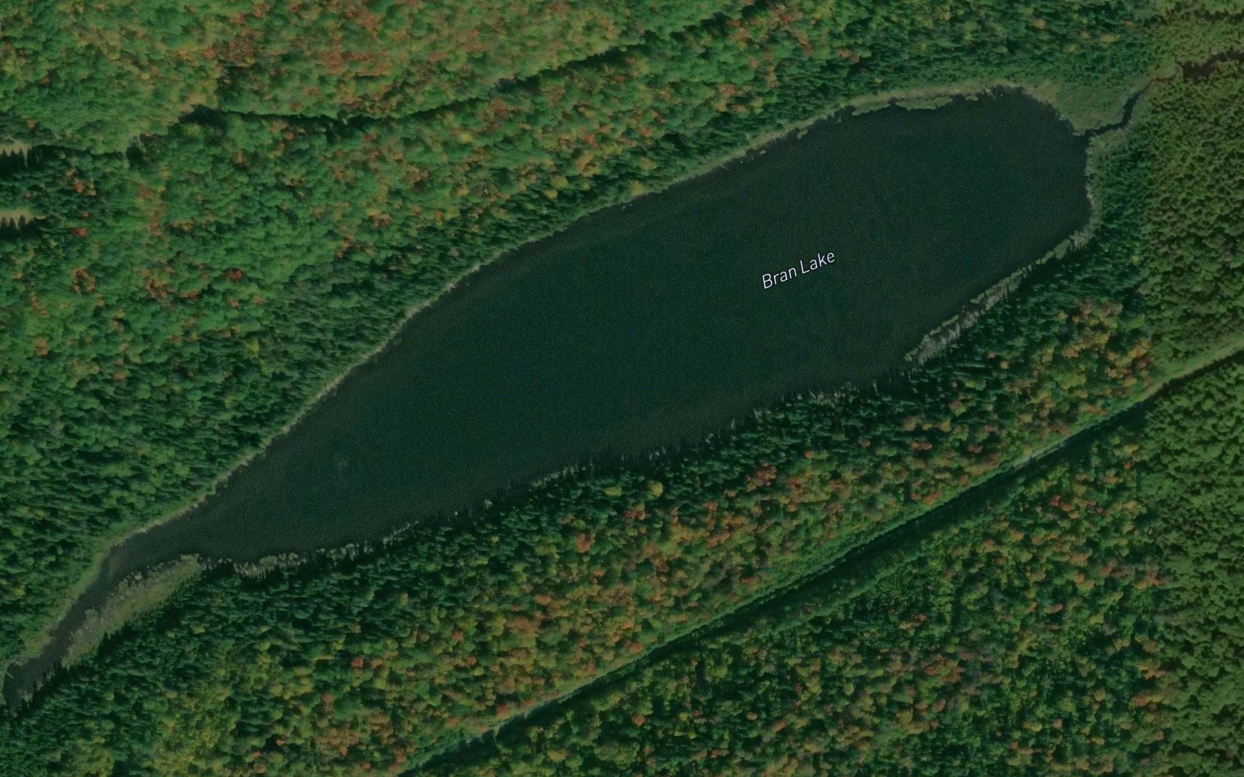 Satellite map of the Bran Lake