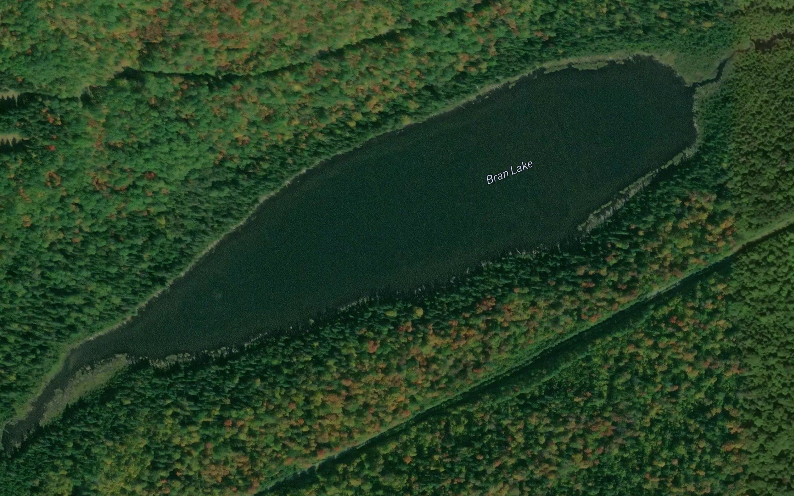 Bran Lake