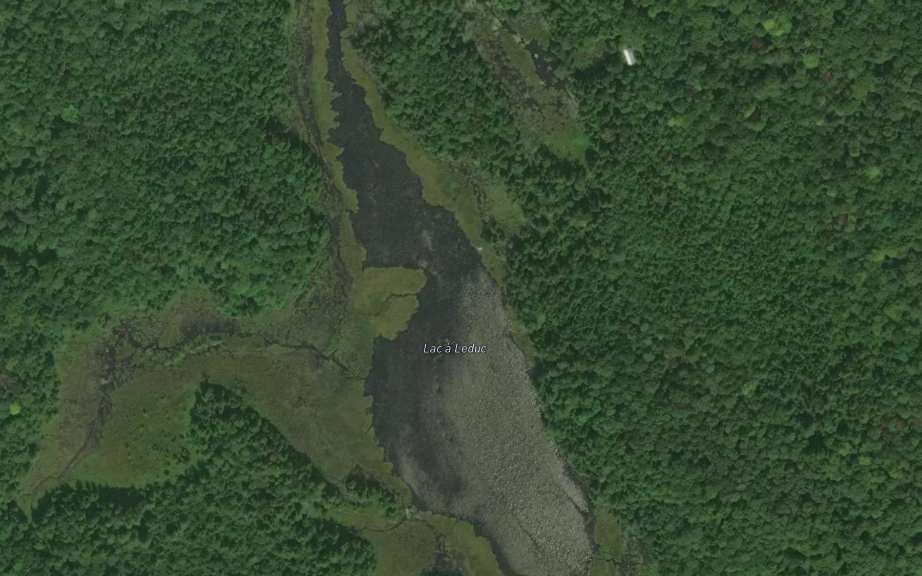 Satellite map of the Lac a Leduc