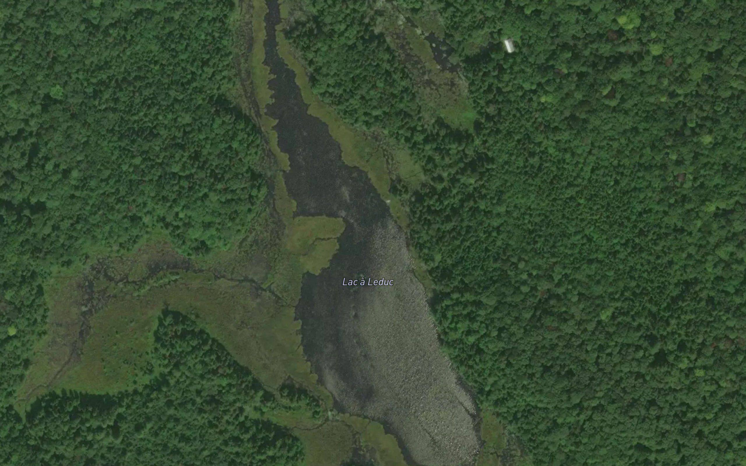 Lac a Leduc